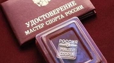Брянцам присвоили звания Мастеров спорта РФ