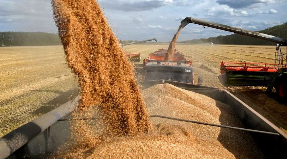 В Комаричском районе завершается уборка зерновых