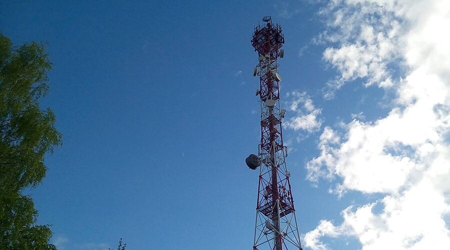 Началось голосование за населённые пункты Брянской области